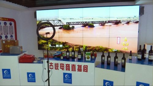 京東集團(tuán)西北區(qū)總部考察青銅峽市電子商務(wù)服務(wù)，共謀區(qū)域數(shù)字經(jīng)濟(jì)發(fā)展新篇章